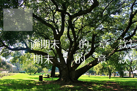 逾期未繳納的違章罰款怎么辦呢，如何處理逾期未繳納的違章罰款？